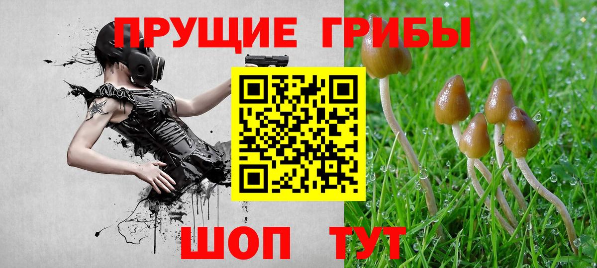 Кокаин  LSD-25  Вход с VPN  Мефедрон кристаллы  Меф  Новоалтайск  Амфетамин   Бошки Шишки  Гашиш  A PVP СК   Экстази 