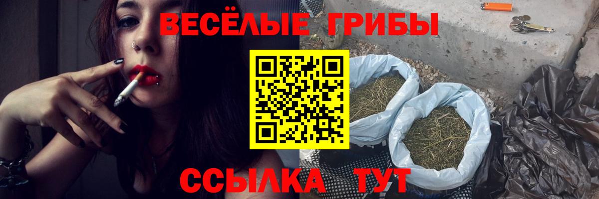 Псилоцибиновые грибы ЛСД Новоалтайск